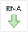Export RNA variants
