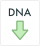 Export all DNA variants in this set